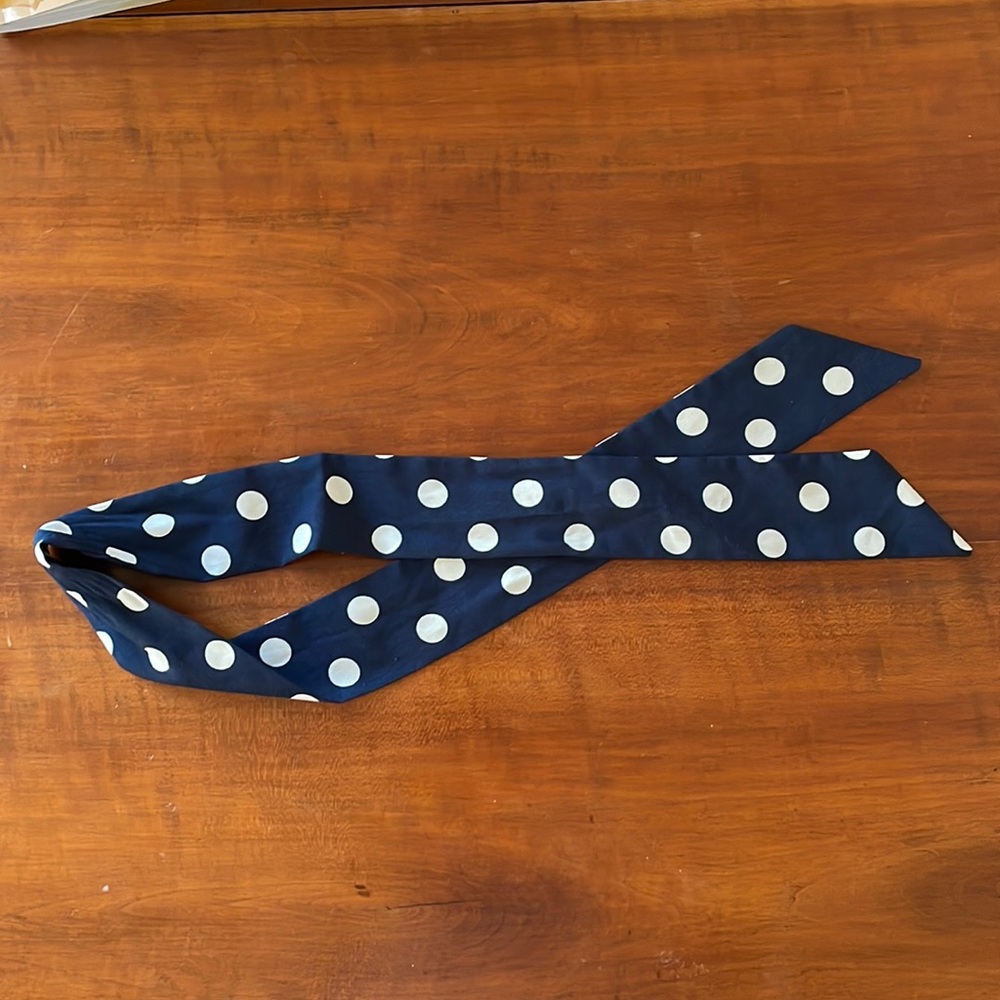 Polka Dot Silk Sash (Headband, Hair Tie)
